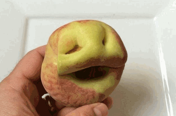 Pareidolia Webcam Filter