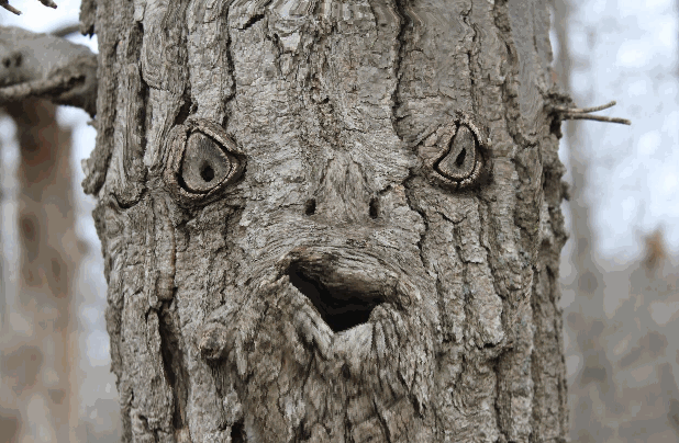 Emotional Pareidolia